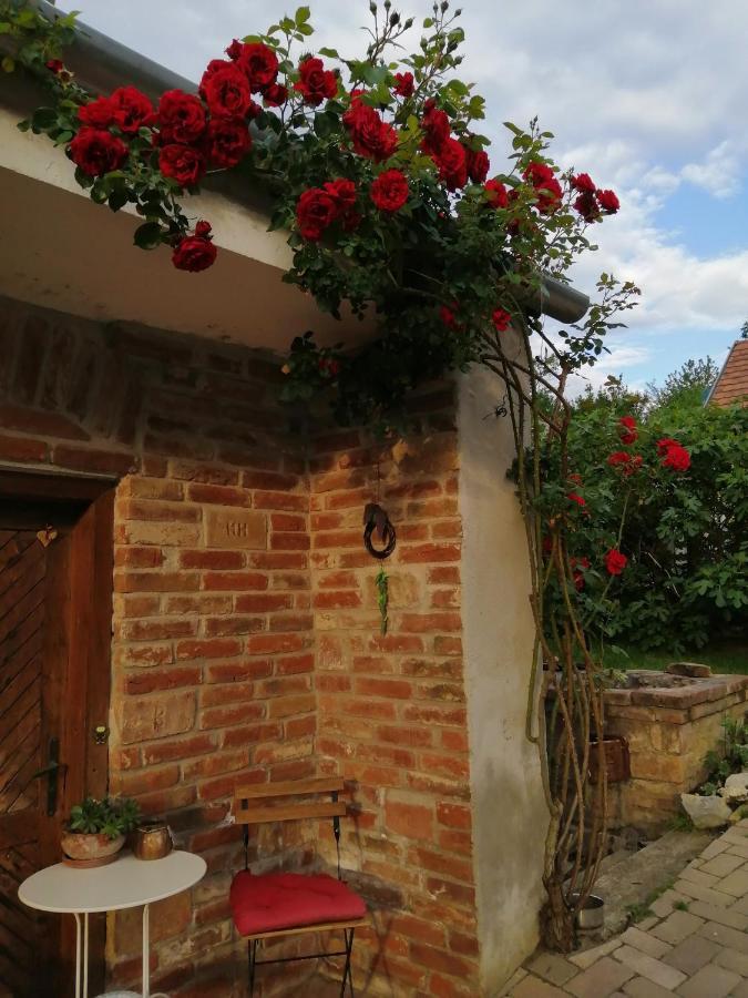 Mives Vendeghaz Hotel Pogany Exterior photo