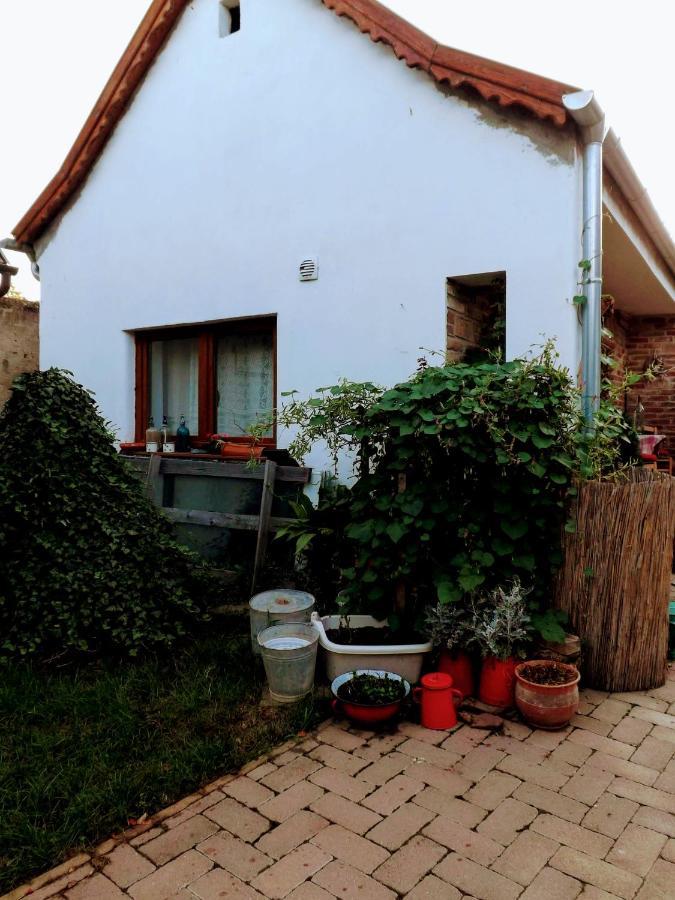 Mives Vendeghaz Hotel Pogany Exterior photo
