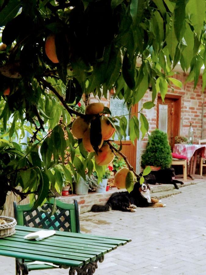 Mives Vendeghaz Hotel Pogany Exterior photo